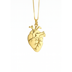 Collar Corazón Anatómico